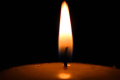  Коллектив и руководство Комитета по тарифам Санкт‑Петербурга выражают глубокие соболезнования семьям погибших в связи с крушением самолета Ан-148 в Московской области