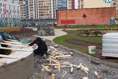 Новый сквер на Кондратьевском проспекте