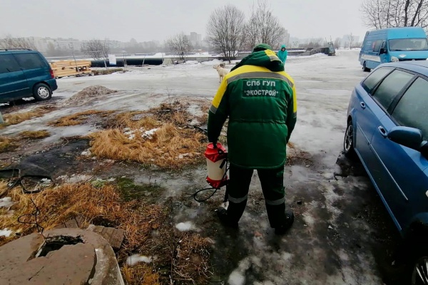 Более 270 обращений поступило в экологические службы за неделю