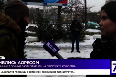 Специалисты Комитета ликвидировали незаконные елочные базары (Видео)
