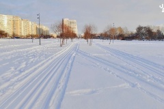 Лыжные трассы начали работу во Фрунзенском районе