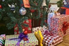 Акция «Дерево желаний» исполнила мечты юных жителей Петроградского района