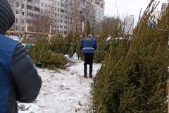На севере Петербурга прошел рейд по проверке елочных базаров