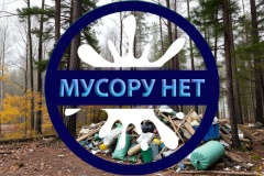 Ликвидация несанкционированных свалок в Выборгском районе