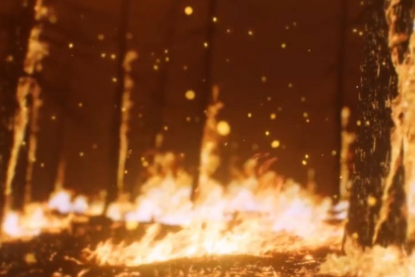 Останови огонь: брошенные окурки (30 сек.)