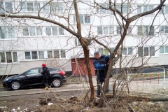 В Кировском районе началась весенняя генеральная уборка