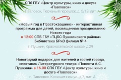 Жители и гости Пушкинского района приглашаются на культурные и спортивные мероприятия, посвящённые встрече Нового года!