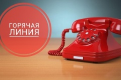 "Горячая линия" по вопросу свалок в Невском районе пройдёт 30 октября