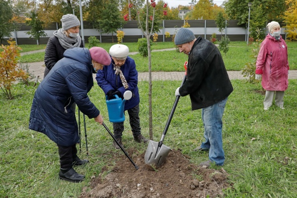 День пожилых людей и начало месячника по благоустройству объединили в Московском районе