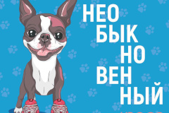 Адмиралтейцев приглашают на «Необыкновенный кросс» 