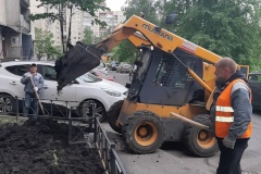 Зеленому району - зеленые газоны