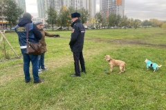 Во Фрунзенском районе провели рейд по соблюдению правил выгула собак