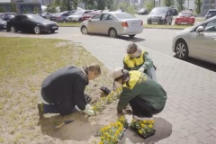 В Калининском районе проходит экологический марафон «Сажаем деревья вместе»