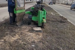 Во Фрунзенском районе проводится завершающий этап ликвидации аварийных деревьев