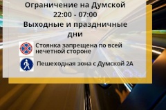 На Думской ограничат движение транспорта