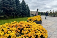 В Московском районе продолжаются масштабные работы по озеленению