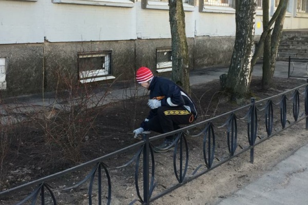Гимназия № 205 принимает участие в общегородском месячнике по благоустройству