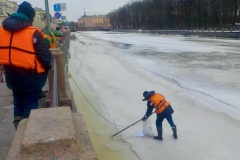 Свыше 6,7 тонн опасных отходов собрали экологические службы за неделю