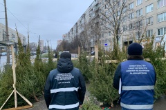 От незаконных елочных базаров освобождено шестнадцать земельных участков