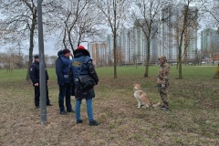 Специалисты Комитета продолжают выявлять нарушения правил выгула собак