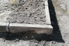 Лицей №226 готов к высадке рассады
