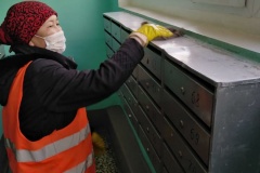 Во Фрунзенском районе Продолжается обработка парадных, входных зон и лифтов