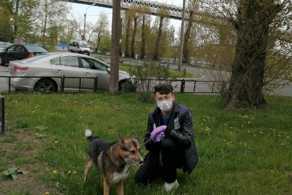 Повседневная жизнь волонтёров Кировского района