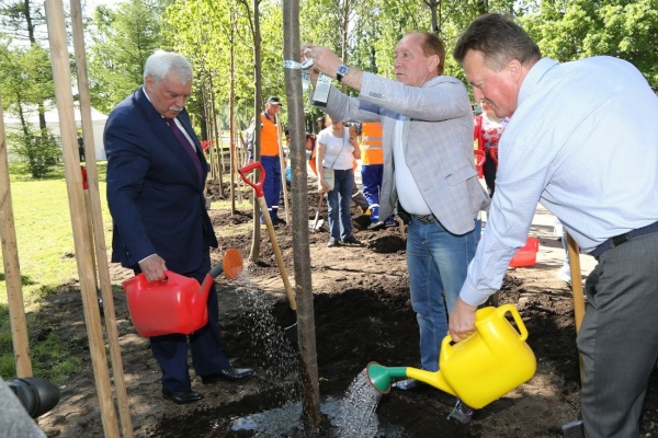 В честь 315-летия города в  Пулковском парке появилась аллея