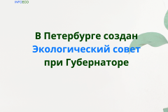 В Петербурге создан Экологический совет при Губернаторе