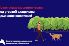 Новая схема мошенничества: под угрозой владельцы домашних животных