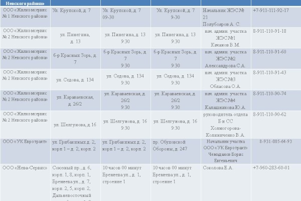 День благоустройства в Невском районе!