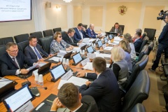 Вопросы совершенствования гражданского контроля в сфере экологии обсудили в Совете Федерации