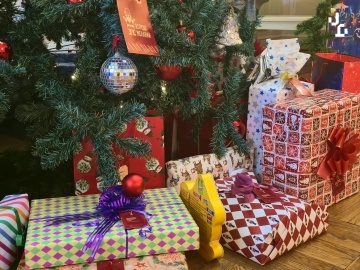 Акция «Дерево желаний» исполнила мечты юных жителей Петроградского района