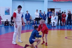 Турнир по самбо выявил сильнейших борцов