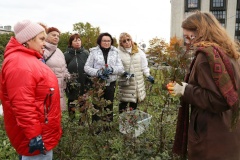 В Московском районе для горожан серебряного возраста состоялась акция по ландшафтному дизайну