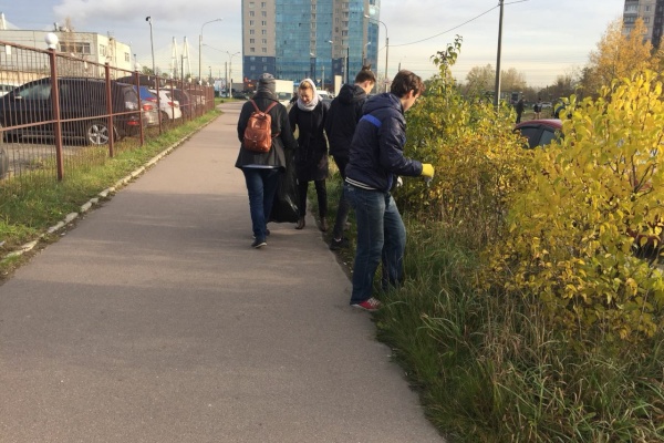 Подростково-молодежный центр «Невский» провел акцию благоустройства на территории ДОТа