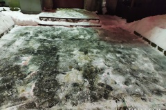 Уборка снега в Выборгском районе