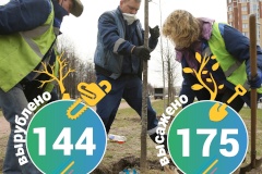 В Калининском районе в период с декабря 2021 года по февраль 2022 года специалисты садово-паркового хозяйства снесли 144 больных деревьев