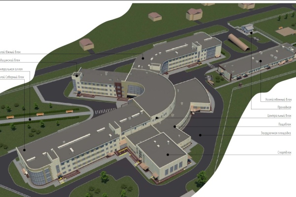 Психоневрологический интернат построят в Павловске