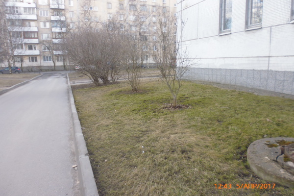 Учреждения здравоохранения Невского района принимают активное участие в месячнике благоустройства 