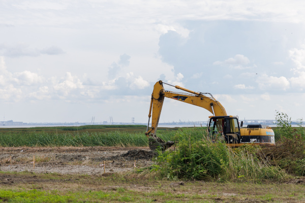 На берегу Финского залива в Стрельне началось благоустройство зоны отдыха