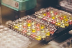 Инновационный препарат российской биотехнологической компании для лечения псориаза пройдет международные клинические исследования