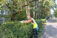 В Пушкинском районе продолжаются работы по благоустройству
