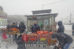 От объектов незаконной уличной торговли освобождено 11 земельных участков в Приморском, Невском и Фрунзенском районах