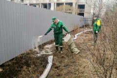 Более 23 тонн опасных отходов собрали экологические службы  за неделю
