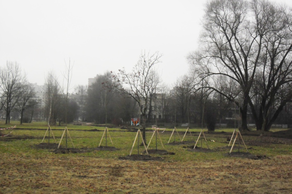 Итоги плана посадок в 2014 году