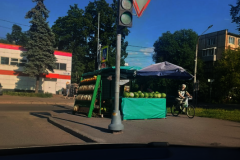 Результаты работы чат-бота Комитета в борьбе с нелегальной торговлей за прошедшую неделю