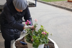 К осеннему месячнику по благоустройству присоединились сотрудники детского сада № 95 Невского района Санкт‑Петербурга