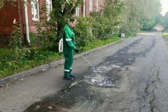 Более 21,3 тонн опасных отходов собрали экологические службы за неделю