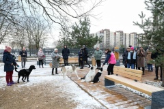 C 2019 года в городе благоустроено 15 площадок для выгула и дрессировки собак